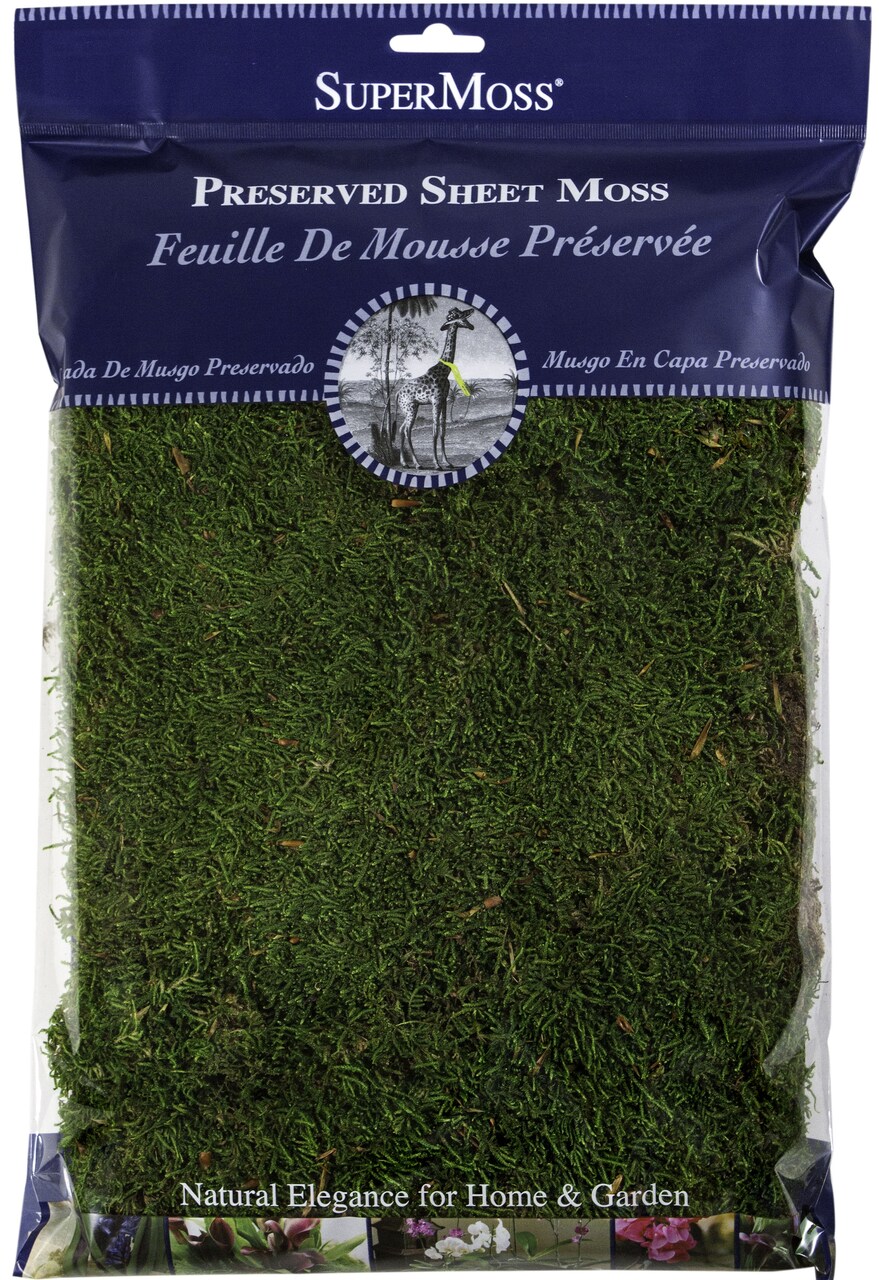 Supermoss Preserved Sheet Moss 2OzGreen Michaels